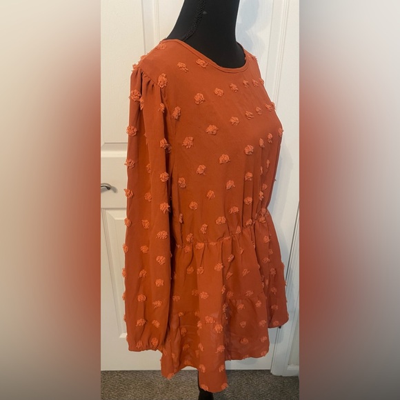 Polka Dot Lantern Sleeve Ruffles Blouse - Picture 2 of 4